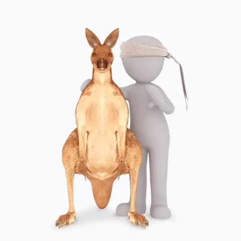 tiere und haustiere 1284