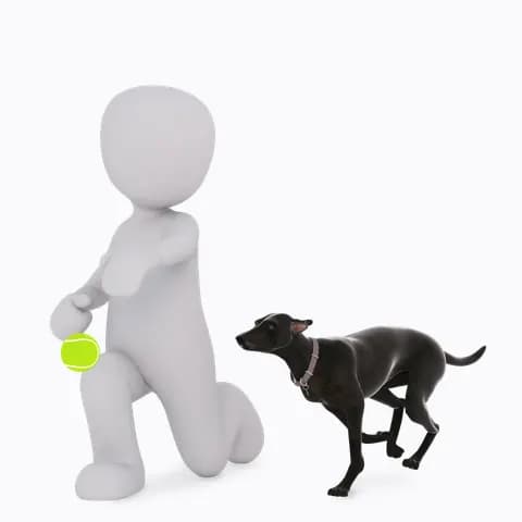 tiere und haustiere 1049