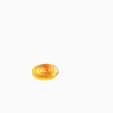 one bitcoin coin