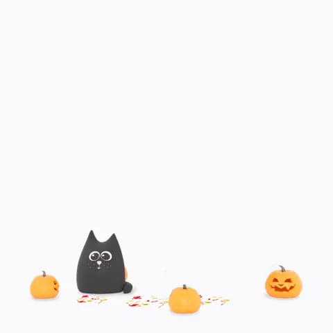 a black cat with pumpkins on halloween